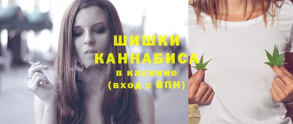 бошки Инта