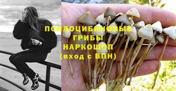 таблы Зерноград