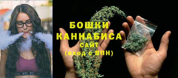 бошки Инта