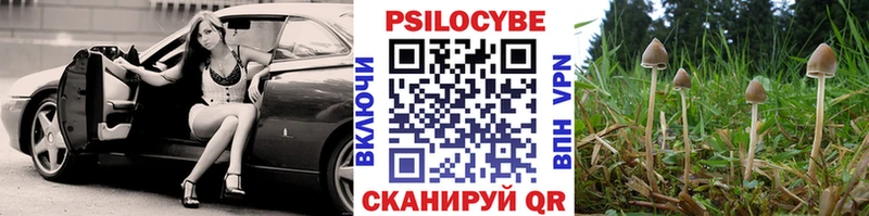 Купить  Сыктывкар  Галлюциногенные грибы GOLDEN TEACHER 