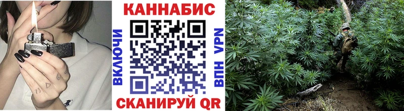 Конопля AK-47  Купить  Сыктывкар 